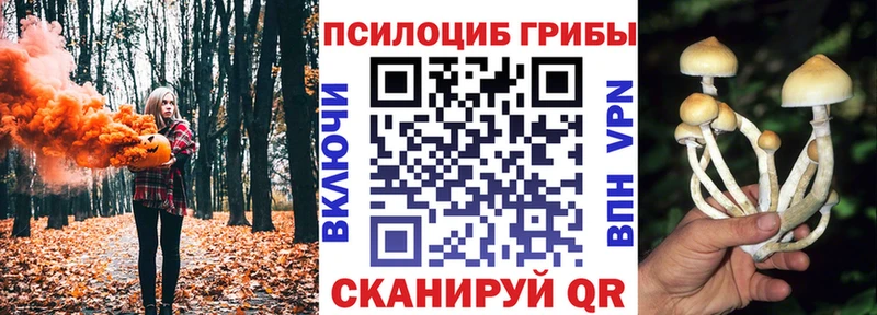 купить  цена  Тольятти  ОМГ ОМГ как войти  мориарти формула  Галлюциногенные грибы Psilocybine cubensis 