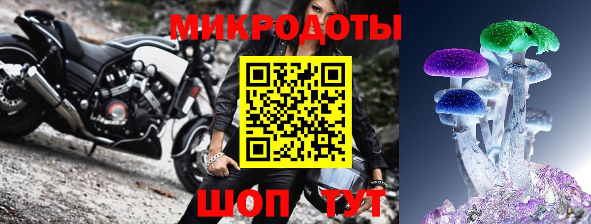 Галлюциногенные грибы Cubensis Тольятти